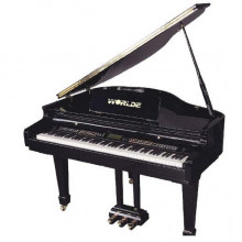 Цифровое пианино Worlde W-8808G дисклавир